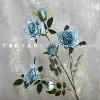 6 small horn roses