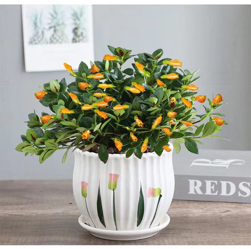 6451e251-5d65-4747-b780-d325e217354a.jpe