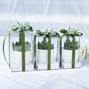 �F؛pvc͸�����b������͸����petչʾ��ϲ�Ǻ�DIYֲ���^�p�����l