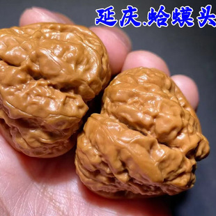 �ӑc����^������Ҙ��������ͺ�������������������ϱ����Nֲ