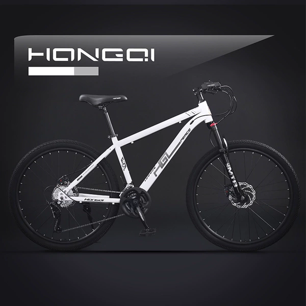 Guoya-aluminum alloy frame-spoke wheel-silk white