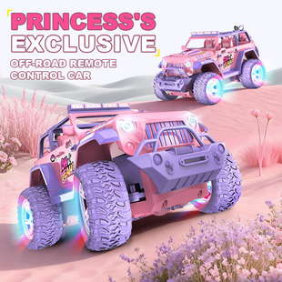 ���R�d TikTok ���N�����F��ɫŮ���b��܇ 2.4G ��������ԽҰ܇��