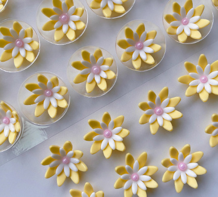 꽃잎이 8개인 2겹의 노란색과 흰색 꽃 80송이