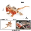 ZJS-S682 Umbrella lizard