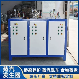 蒸汽发生器;加热器;电热器