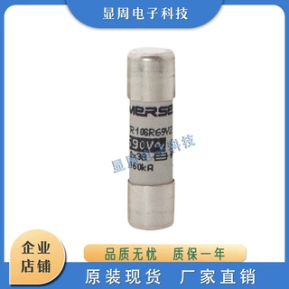 全新电子保险丝熔断器FF22GG69V8 L222972 FR22GG69V10 T200761