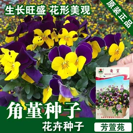 蔬菜种子;其他农业