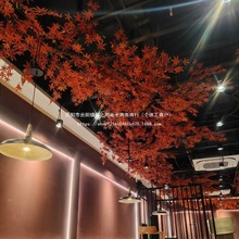 ~bټt~컨پGֲՇֲڳ