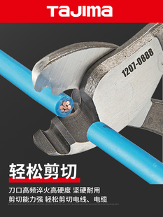 tajima��u��|���Q�~����|�Q��늹�������Ƥ���Q6��8��10��