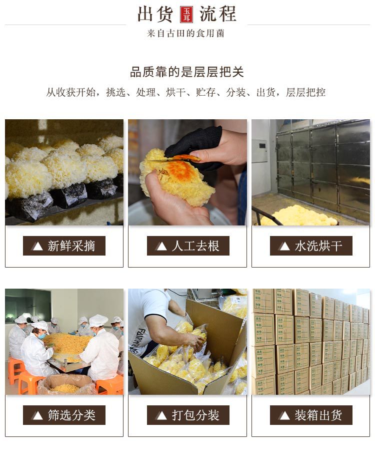 玉耳內(nèi)頁(yè)1.1_20