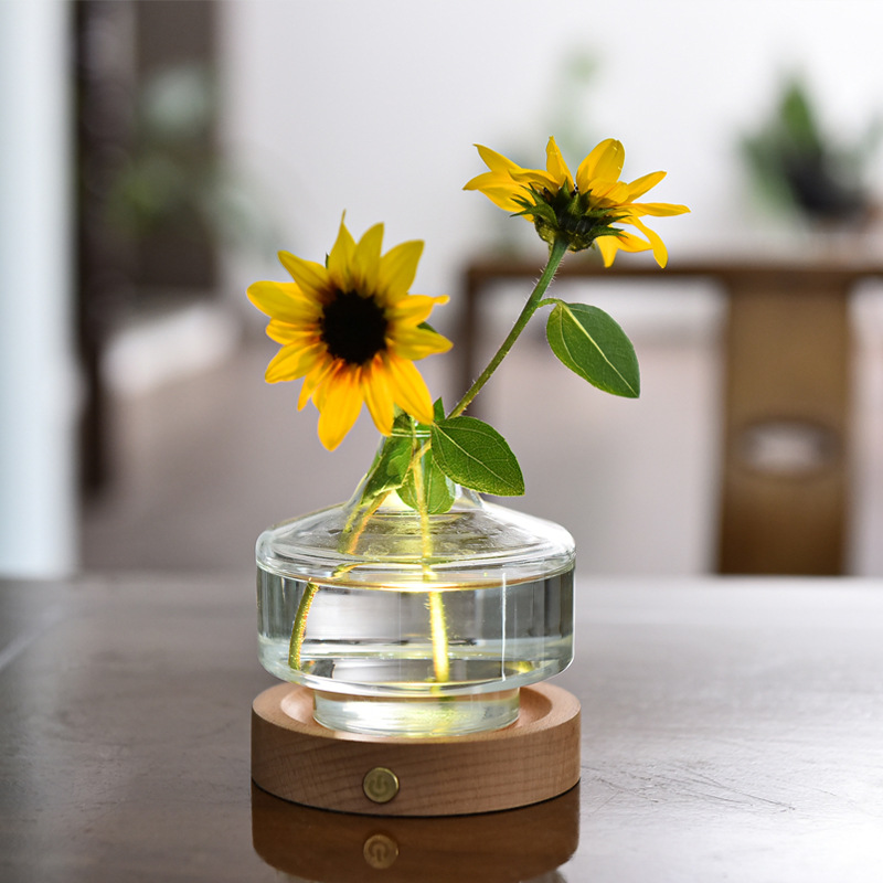 Creativo ins estilo jarrón para dormir lámpara de mesa hogar sala de estar dormitorio lámpara de noche florero hidropónico USB recargable luz de la noche