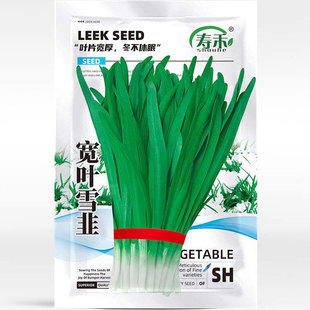 �²˷N�ӷN�����猒�~�ļ����Ը��߲��ѷN���~������탲���С�~