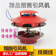 ���ß������L�C�ܵ��ş��C�����������͸ߜ�偠t���L�C