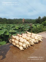 \ˮźNɏźNźˮźN ߮aʳɏźN źź1