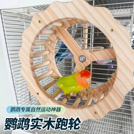 其他小宠用品;鸟类;喂食器