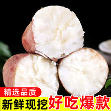 ���rɳ�ذ����t�����ļt������عϬF�ڰ�ȿ��������ܛŴ��Ŵ