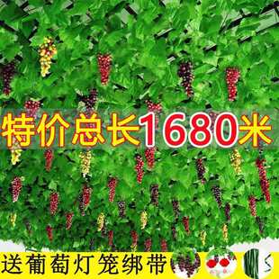 �ٻ��ٗl������~�ӹܵ��p�@�G���������~����b���픾Gֲ��G�~