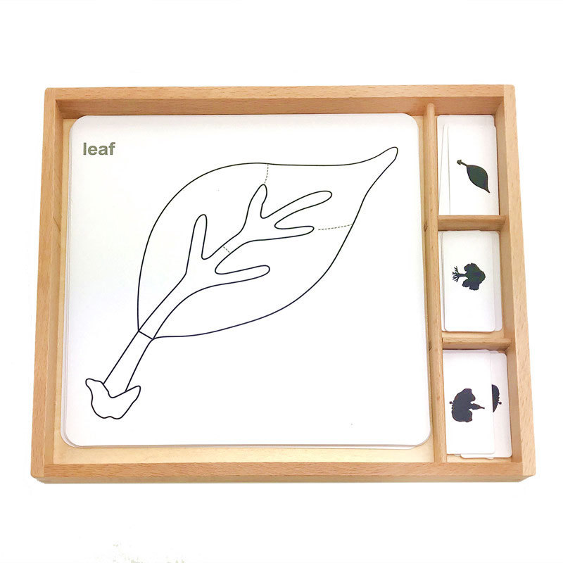 Wooden toy