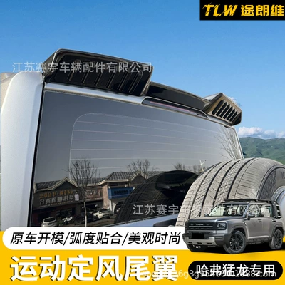 Wind Wing, Top Tail Wing, Painted Fixed wind wing