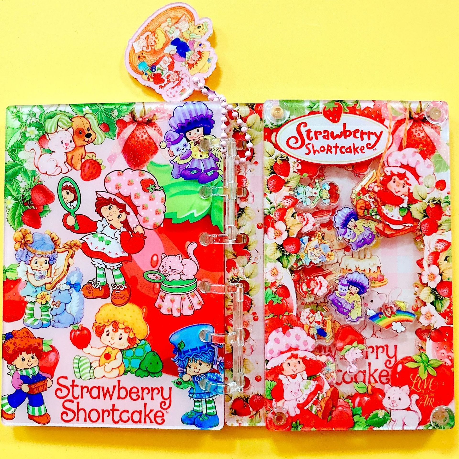 54種類の揺れるアクリルノート、クロスボーダーで人気のTikTokで話題の美しいルーズリーフノート、DIY A7/A5