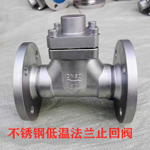DH41F-40P不锈钢低温止回阀 液氧液氮液氩 LNG 低温止回阀单向阀