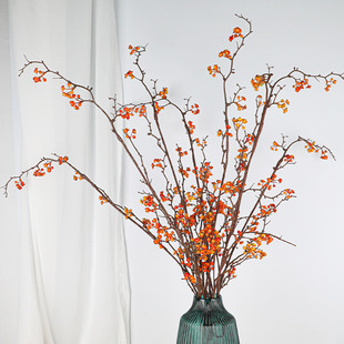 ���������ٹ��lؔ����֦�{��Ұ���b��ߔ[���Gֲ�S�����l�[����