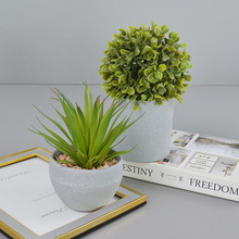 ����Gֲ�辰����ҾӔ[�����������҃ȕ����[��ֲ����չ���b�