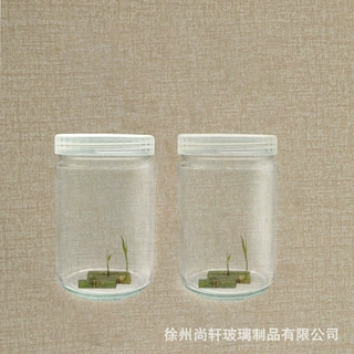 定制组培玻璃瓶耐高温植物组织培养瓶玻璃密封盖菌种育苗实验容器