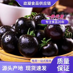 ɽ�|�۹������������鷬��  ���l3/5�����rС��������ɫ���t��