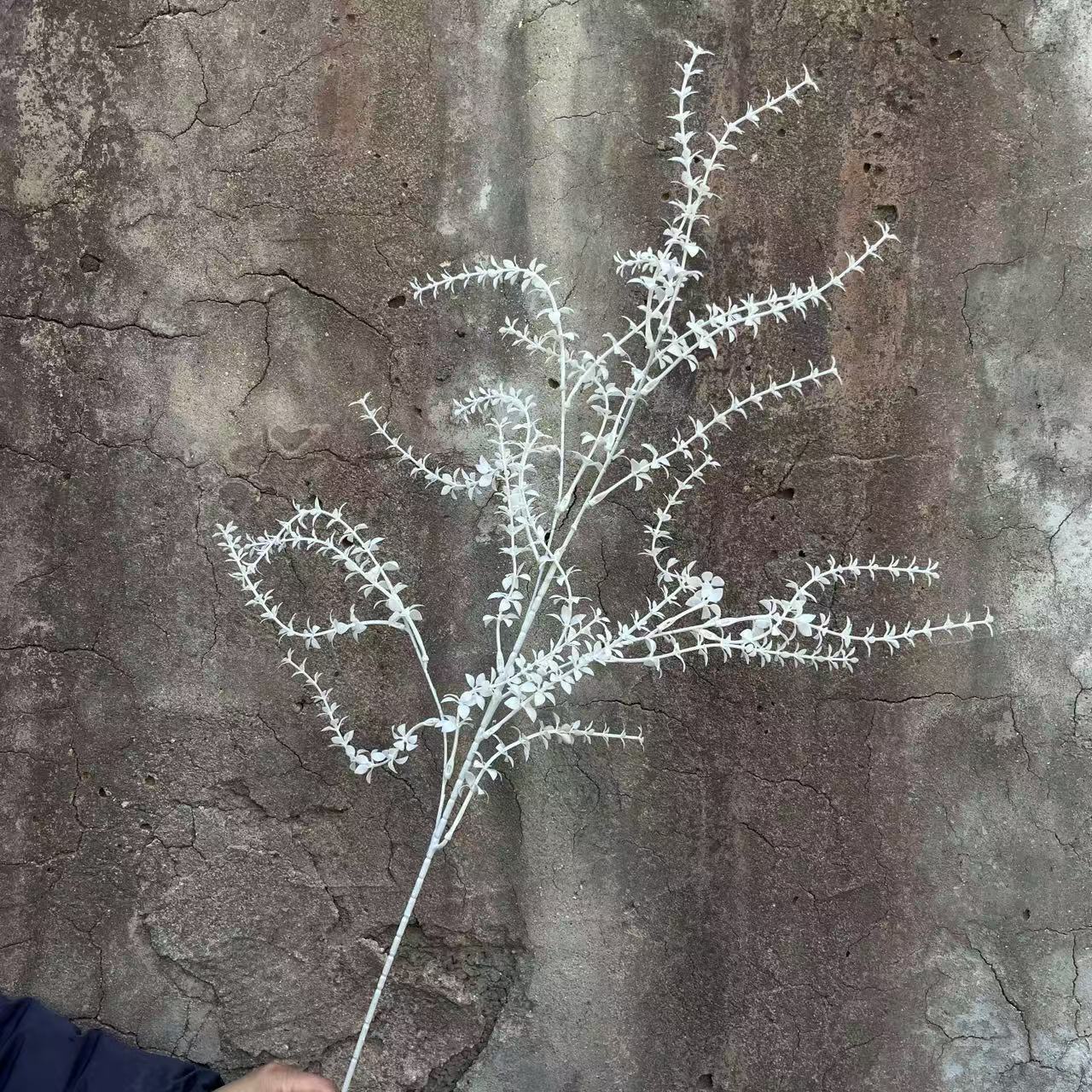 微信图片_20250402154912