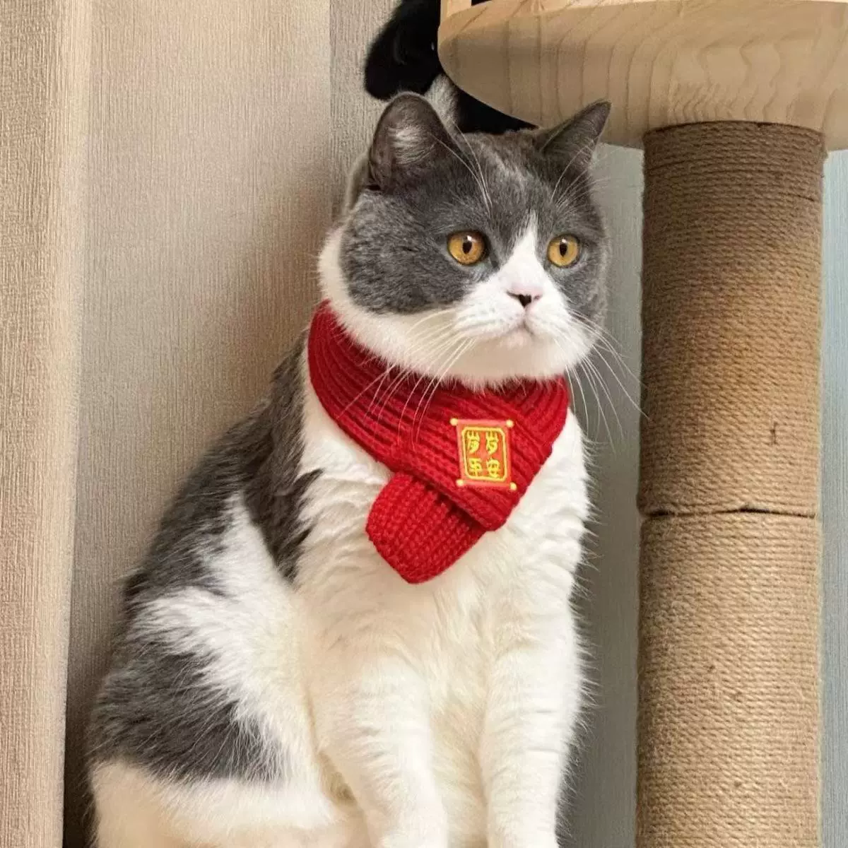 猫咪狗狗围脖新年宠物配饰装饰围巾厂家现货保暖针织小狗喜庆围巾