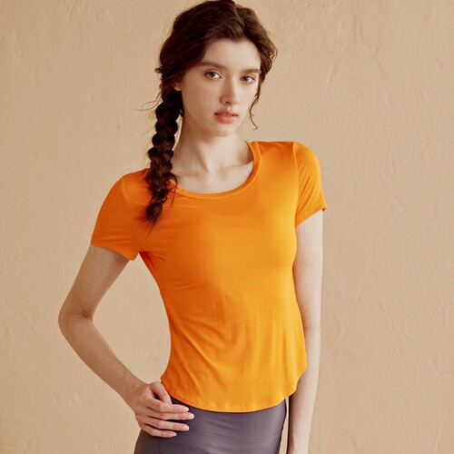 Women's Summer 2024 High-End Yoga Top, Short-Sleeve Fitness Shirt for Gym, Breathable and Quick-Drying
