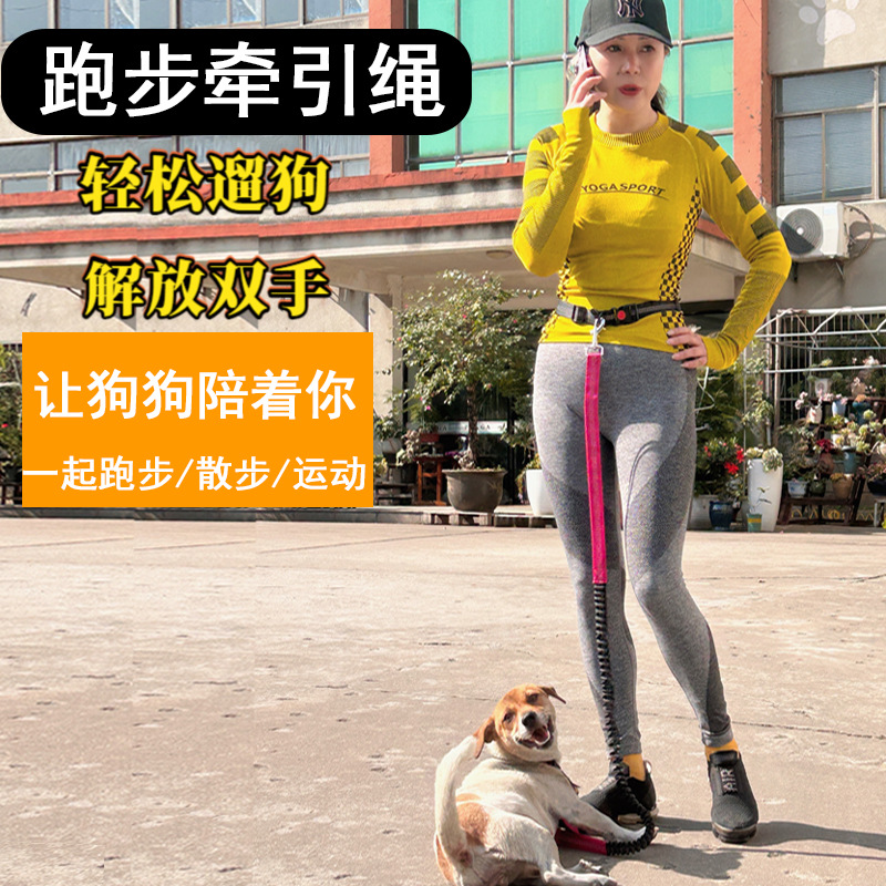 Suministro directo de fábrica suministros para mascotas correa para mascotas perro correa de tracción cuerda de tracción