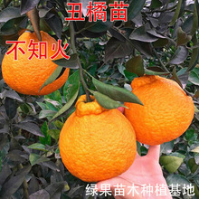 ���٘��� ����� ��֪�����޽��� ������ �ָ̼t���˸����Ә���