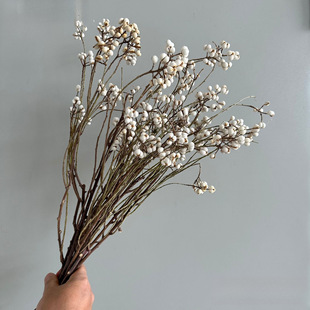 DIY�廨���ް׹���Ȼ�ɻ��Ƶ���e���l�������С���S�Ұ�ɫ�ֹ�