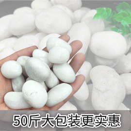 批发白色鹅卵石园林造景盆景白色砾石胶粘石水磨石规格全发货及时