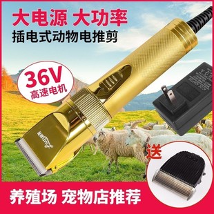 Wool Clipper Electric Clipper 36V High Power Wool Clipper Electric Wool Clipper Goat Pet Shaver