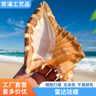 ��Ȼ����ؐ�����_�����ղؘ˱��Ĕz�����~���쾰�Ҿ��b[�����l