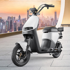 新型星途電気自動車長距離走王電動オートバイリチウム電池雅笛エマ電気自動車48V外売車