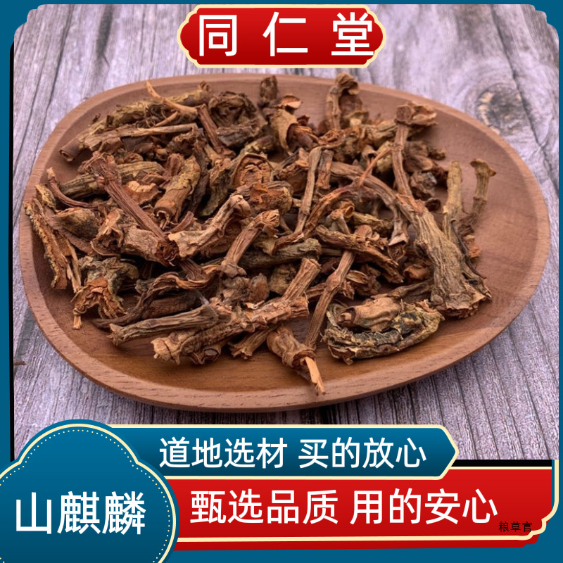 野山山麒麟冷背山麒麟红药玉麒麟麒麟竭海蜡泡酒跌打真货