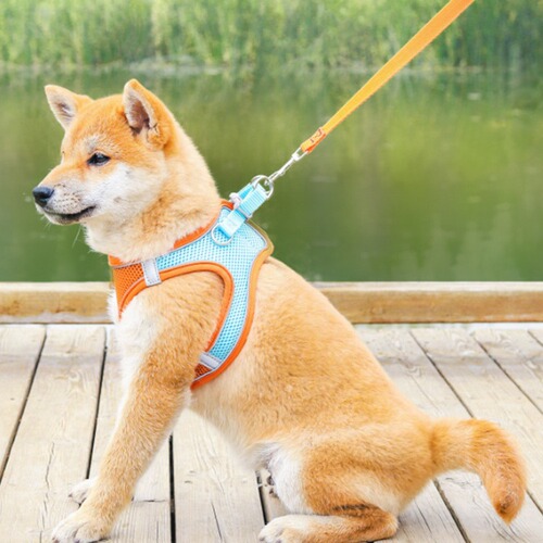 Vest style pet harness leash set, mesh breathable reflective dog walking rope dog and cat supplies