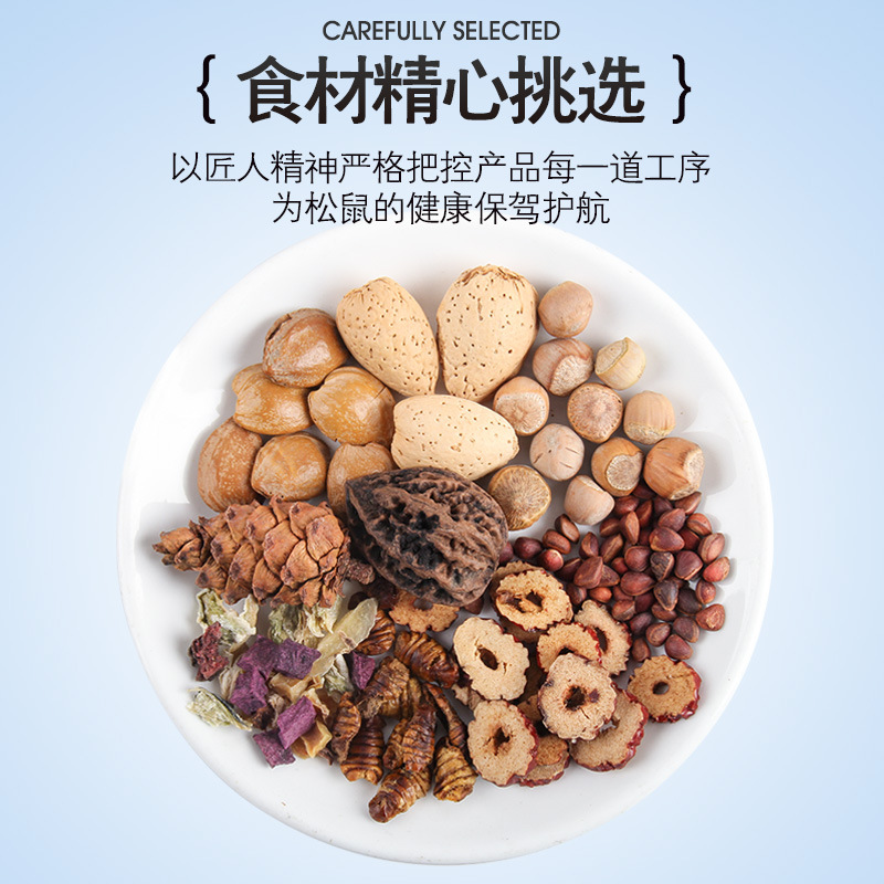 松鼠粮食魔王食物金花零食口粮红腹吃的饲料用品松果坚果新鲜