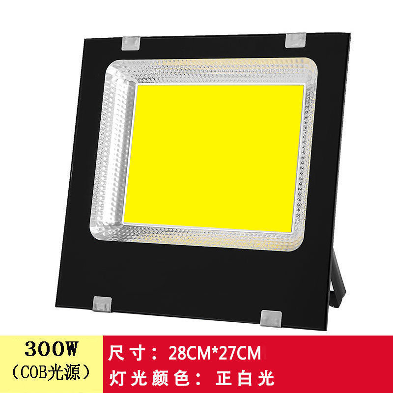 COB 고휘도 신형 300W