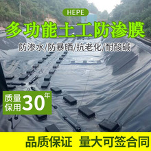 防渗膜鱼塘专用养殖防水膜蓄水池防水布藕池土工膜黑色塑料薄膜