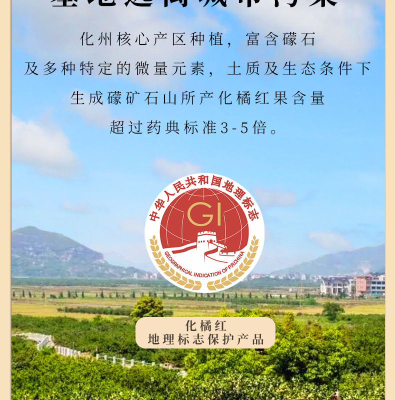 Huazhou Tangerine Peel Slices Hua Ju Hong 100g Jar Aged Fruit Slices Traditional Herbal Tea specifications