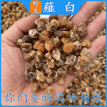 成都中药材批 发薤白1000克野生薤白薤白头薤白蒜山蒜小野蒜茭白