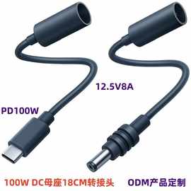 DC母头转type-C防水电源转接线MINI母对公插头18CM防水延长线现货