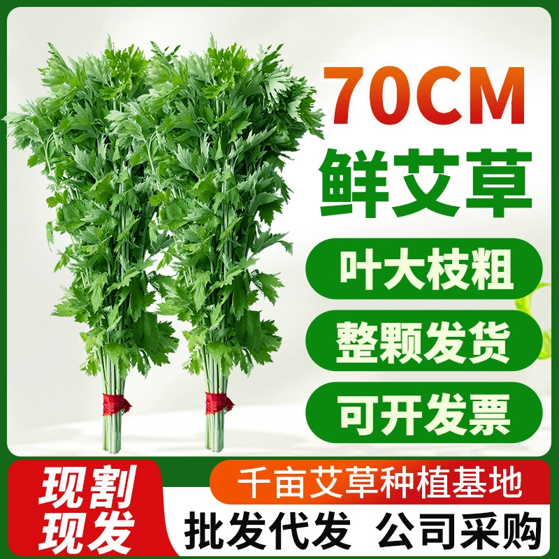 Свежий полынь букет двери и окна