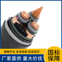 YJV62 3.6/6KV��о1x25 1x35 1x50 1x70 1x95 1x120�и߉���|��