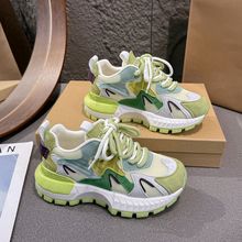 W۰tͰЬ2025¿ɫ\eЬϵɸ